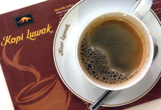 Kopi Luwak: El café más caro del mundo es una mierda